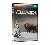 Yellowstone, la lutte pour la vie [Francia] [DVD]
