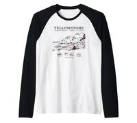 Yellowstone Protect The Land Line Art Distressed Style Camiseta Manga Raglan