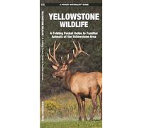 Yellowstone Wildlife: A Folding Pocket Guide to Familiar Animals of the Yellowstone Area (Pocket Naturalist Guide Series)