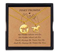 YELUWA 2 piezas collar de caballo para niñas, collar con colgante de caballo, regalos de caballos, collares con colgante de acero inoxidable para madre e hija con caja de regalo dorada