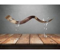 Yemenite Shofar - Soporte de exhibición de cuerno acrílico transparente para Oryx, Kudu, Cuerno de carnero, Shofars yemenita (transparente)