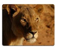 YENDOSTEEN 17P00142 Creatividad Alfombrilla de ratón para Juegos Lions Namibia África