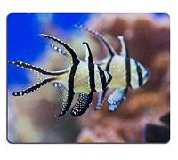 YENDOSTEEN 17P07122 Creatividad Mousepad Gaming Mouse Pad Pterapogon Colorido pez Cebra de mar