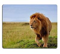 YENDOSTEEN 17P07247 Creatividad Alfombrilla de ratón para Juegos Alfombrilla para ratón Beautiful Lion Long en Masai Mara Kenia