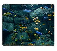 YENDOSTEEN 17P07316 Creatividad Alfombrilla de ratón para Juegos Fondo de Brillantes Peces africanos del Lago Malawi bajo el Agua