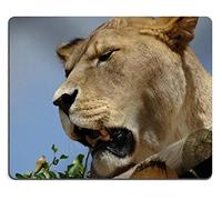 YENDOSTEEN 17P12598 Creatividad Mousepad Gaming Mouse Pad Lion Material de Caucho Natural