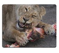 YENDOSTEEN 17P16658 Creatividad Alfombrilla de ratón para Juegos Alfombrilla de ratón Leona Food Zoo Material de Caucho Natural