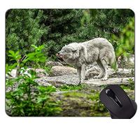 YENDOSTEEN Alfombrilla Antideslizante, Lobo de fantasía en un Bosque Oscuro de Invierno
