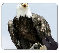 YENDOSTEEN Alfombrilla de Goma Antideslizante para Juegos, Alfombrilla de Goma Negra de Eagle Cute Themes Animal Temas