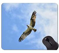 YENDOSTEEN Alfombrilla de Goma Antideslizante para Juegos, Alfombrilla de Goma Negra de Eagle Cute Themes Animal Temas