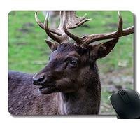 YENDOSTEEN Alfombrilla de ratón, Animales del Bosque, Claro del Bosque, Cornamenta - Bordes cosidos