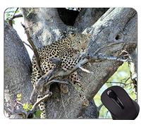 YENDOSTEEN Alfombrilla de ratón Antideslizante para Juegos de Goma, Familia de Leopardo, Alfombrillas para ratón de Leopardo