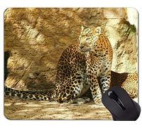 YENDOSTEEN Alfombrilla de ratón Antideslizante para Juegos de Goma, Pantera de Las Alfombrillas de ratón Leopardo de la Familia de Gatos de Sri Lanka
