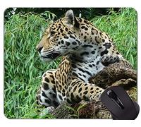 YENDOSTEEN Alfombrilla de ratón con Borde de Bloqueo, Animal World Wild Leopard Antideslizante Goma Base Mousepad