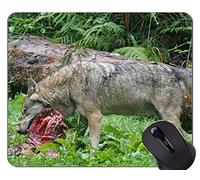 YENDOSTEEN Alfombrilla de ratón con Borde de Bloqueo, Fantasy Wolf In A Dark Winter Forest Alfombrillas de ratón