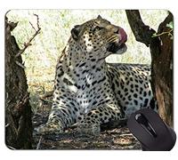 YENDOSTEEN Alfombrilla de ratón con Borde de Bloqueo, Namibia Leopard Alfombrilla de ratón con Borde Cosido