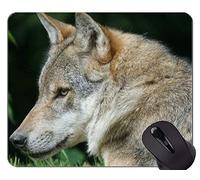 YENDOSTEEN Alfombrilla de ratón con Borde de Bloqueo, Retrato de una Hermosa loba Alfombrilla de ratón con Bordes cosidos