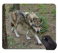YENDOSTEEN Alfombrilla de ratón con Borde de Bloqueo, Retrato de una Hermosa loba Alfombrilla de ratón con Bordes cosidos
