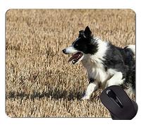 YENDOSTEEN Alfombrilla de ratón con diseño A Dog German Shepherd, Border Collie Alfombrilla de ratón