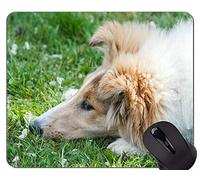 YENDOSTEEN Alfombrilla de ratón con diseño A Dog German Shepherd, Collie Alfombrilla de ratón cómoda para Juegos y Oficina