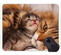 YENDOSTEEN Alfombrilla de ratón con el Borde Cosido, Cara Linda del Gato del Amor del Animal del Gatito Accesorios de computadora de la Oficina en el hogar Mousepad