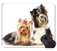 YENDOSTEEN Alfombrilla de ráton de Caucho Natural para Juegos, Impresa con el Perro Animal Yorkshire Terrier - Bordes cosidos