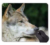 YENDOSTEEN Alfombrilla de ratón de Encargo única Alfombrilla de ratón, Imagen del Lobo ártico Peligroso Alfombrillas de ratón