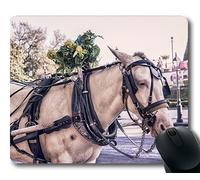 YENDOSTEEN Alfombrilla de ráton de la Carrera de Caballos, Coche del Carro del Animal, Estera del ratón del Caballo