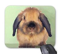 YENDOSTEEN Alfombrilla de ráton del Juego Alfombrilla de ratón Conejo Precioso Mousepad Serie Holland Lop Alfombrilla De Ratón Conejo de Conejito Alfombrilla De Ratón Rectángulo Alfombrillas De Raton