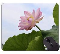 YENDOSTEEN Alfombrilla de ráton del Juego de Las Ilustraciones espirituales sagradas de la Flor de Lotus - cojín de ratón de la Oficina de Las Flores de Lotus