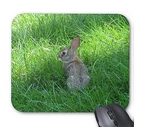 YENDOSTEEN Alfombrilla de ráton del Juego mousemat Conejo Precioso Mousepad Serie Conejo salte en la Hierba Alfombrilla de ratón Conejo Conejito Alfombrillas de ratón Rectángulo Alfombrillas De Raton
