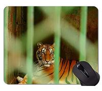 YENDOSTEEN Alfombrilla de ratón Divertida del Tigre Blanco, Alfombrillas de ratón Animales con Bordes cosidos