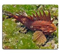 YENDOSTEEN Alfombrilla de ratón Gaming Alfombrilla de ratón Alfombrilla de ratón de Caucho Natural Bali waspfish de Punta Conjunto de Material de Goma Natural M0A16299