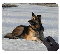 YENDOSTEEN Alfombrilla de ratón Impresa con Narciso Pastor Australiano, Nieve Alfombrillas de ratón