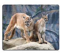 YENDOSTEEN Alfombrilla de ratón Juego Alfombrilla de ratón Alfombrilla de ratón de Caucho Natural Leones de montaña en Conjunto de Material de Goma Natural M0A18277