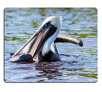 YENDOSTEEN Alfombrilla de ratón Juego Alfombrilla de ratón Alfombrilla de ratón de Caucho Natural Pelícano con Pescado Tarpon Bay Conjunto de Material de Goma Natural M0A18355
