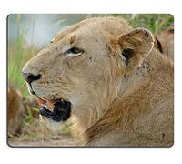 YENDOSTEEN Alfombrilla de ratón Juego Alfombrilla de ratón Alfombrilla de ratón de Goma Natural Lion Panthera Leo Macho Joven Conjunto de Material de Goma Natural M0A14479