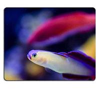 YENDOSTEEN Alfombrilla de ratón Juego Alfombrilla de ratón Estera del ratón de Goma Natural Dart Fish Conjunto de Material de Goma Natural M0A15261