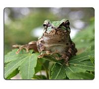 YENDOSTEEN Alfombrilla de ratón, Juegos Alfombrilla de ratónJaponésTreeFrog Rana de TreeFrog x Macro olloclip Material de Caucho Natural PN00X4769