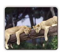 YENDOSTEEN Alfombrilla de ratón para Juegos Alfombrilla para ratón, Leonas Que descansan sobre un árbol caído, Alfombrillas para ratón Game Office P0597
