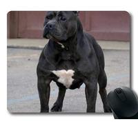 YENDOSTEEN Alfombrilla de ratón para Juegos, Perro Pug Lindo, Costura de precisión, Alfombrilla de ratón Duradera