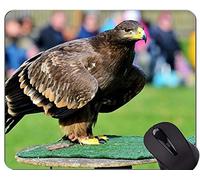 YENDOSTEEN Alfombrilla de ratón para Juegos Personalizada, Alfombrilla de ratón Eagle In The Wild Themes con Borde Cosido