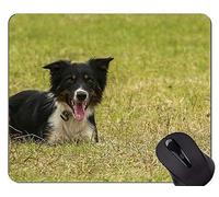 YENDOSTEEN Alfombrilla de ratón para Juegos Retrato de un Perro Pastor Australiano, Alfombrilla para ratón para Perros
