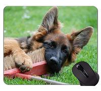 YENDOSTEEN Alfombrilla de ratón para Juegos Retrato de un Perro Pastor Australiano, Alfombrilla para ratón para Perros