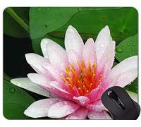 YENDOSTEEN Alfombrilla de ráton Personalizada para Juegos de Lotus con diseño de Arte Floral en Color - Después de Que la Lluvia le dé a Lotus Antideslizante de Goma con Base Mousepad