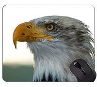 YENDOSTEEN Alfombrilla de ratón Personalizada Personalizada, Alfombrilla de ratón Eagle In The Wild Themes con Borde Cosido