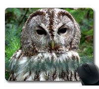 YENDOSTEEN Alfombrilla de ratón, pinzón búho Waldkauz Strix aluco Tawny Owl o Brown Owl, Alfombrilla de ratón con Bordes cosidos