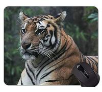 YENDOSTEEN Alfombrilla de ratón Tiger In Jungle Animal Gaming, Indonesia Alfombrilla de Goma