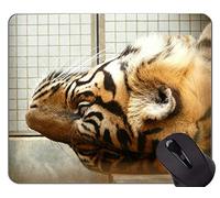 YENDOSTEEN Alfombrilla de ratón Tiger In Snow, Alfombrilla de ratón Tiger Rubber de Sumatra