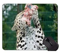 YENDOSTEEN Alfombrilla de ratón Tigre en el Paisaje, es Hora de la Oficina Alfombrilla de ratón